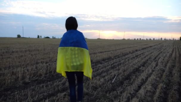 Украинка Идет Ячменному Лугу Сине Желтым Баннером Плечах Закате Леди — стоковое видео