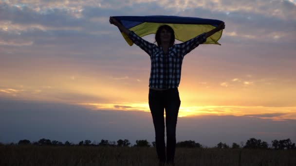 Ukrán Áll Árpa Réten Emelt Feje Felett Kék Sárga Banner — Stock videók