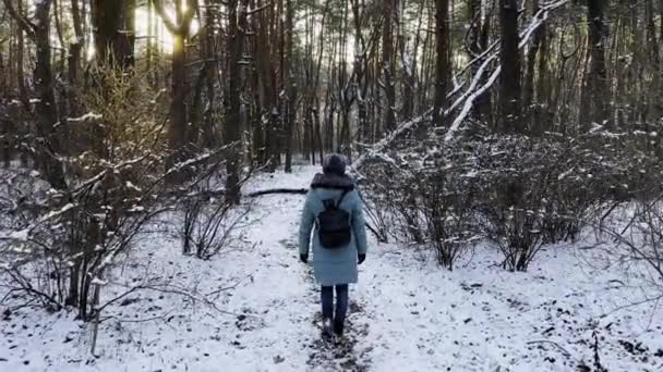 Folgen Sie Einer Jungen Frau Die Den Pfad Sonnigen Verschneiten — Stockvideo