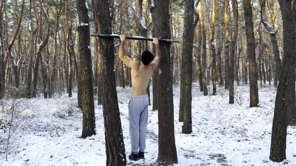 Athletischer Typ Der Klimmzüge Schönen Wald Macht Kräftiger Und Muskulöser — Stockvideo