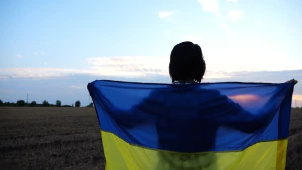 일몰에 파란색 노란색 초원에 우크라이나어 숙녀는 일출에 밀밭에 러시아의 공격에 — 비디오