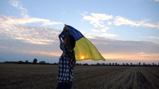Happy Woman Standing Barley Meadow Turning Raised Head Flag Ukraine — Stock Video