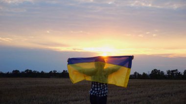 Arpa çayırında yürüyüp Ukrayna bayrağını dalgalandıran mutlu bir kadın. Arka planda güzel bir günbatımında mavi-sarı pankartıyla Ukraynalı bir kadın. Savaşın sonu.