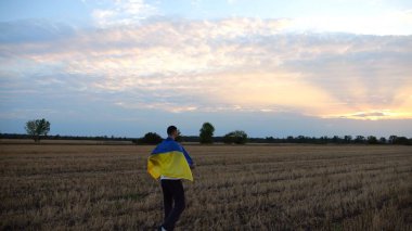 Gün batımında omuzlarında mavi-sarı bir pankartıyla arpa çayırında yürüyen Ukraynalı bir adam. Genç adam, Rus saldırısına karşı zafer sembolü olarak Ukrayna bayrağıyla buğday tarlasına gidiyor. Yavaş çekim