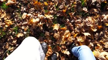Genç bir çiftin ormanda akçaağaç yapraklarında birlikte yürümesi. Sonbahar parkında çizmeli erkek ve kadın bacakları kuru yeşilliğe dönüyor. Erkek arkadaş ve kız arkadaş vahşi doğada yürüyor..