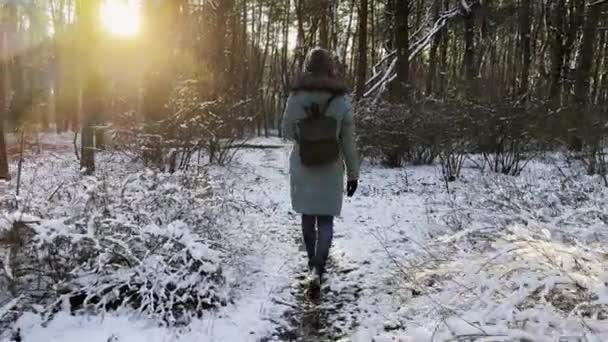 Následujte Mladou Ženu Kráčející Stezce Slunném Zasněženém Lese Dívka Batohem — Stock video