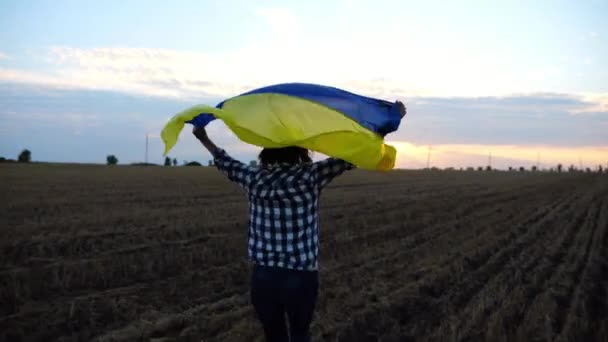 Ukrán Fut Emelt Zászló Ukrajna Feje Felett Búza Mező Naplementekor — Stock videók