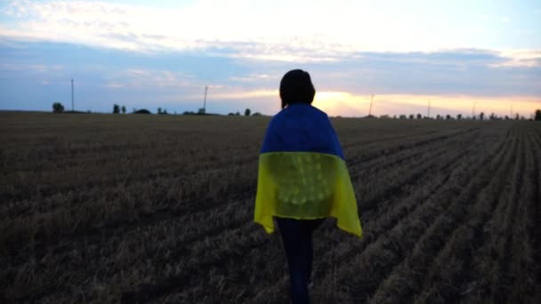 Oekraïense Vrouw Loopt Gersteweide Met Een Blauw Gele Spandoek Schouders — Stockvideo