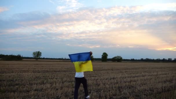 Ukrainiec Spacerujący Łące Jęczmiennej Podniesionym Nad Głową Chorągiewką Narodową Zachodzie — Wideo stockowe