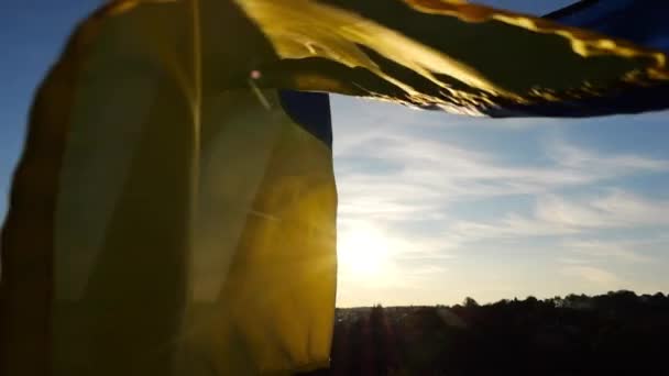 Ukrayna Ordusunun Erkek Askeri Arka Planda Güneş Işığına Karşı Ulusal — Stok video