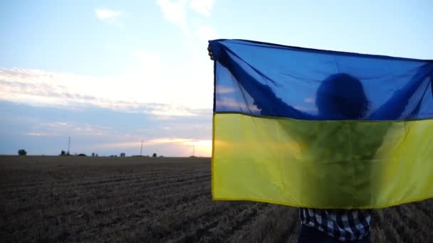 Ukraynalı Bir Kadın Gün Batımında Mavi Sarı Bir Pankartıyla Arpa — Stok video