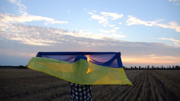 Ukraynalı Kadın Gün Doğumunda Ulusal Mavi Sarı Pankartıyla Arpa Çayırında — Stok video