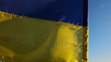 Ukrayna 'nın mavi-sarı sembolü. Kırsalda güneş parıldıyor. Güneşli bir günde açık havada Ukrayna bayrağı dalgalanır. Rus saldırısına karşı barış ve destek. İstila direnişi .