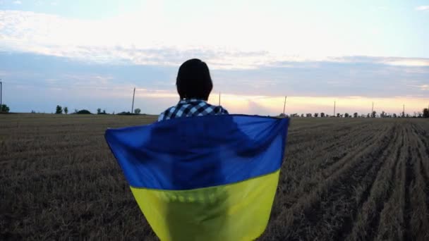 Dame Ukrainienne Marchant Avec Une Bannière Nationale Bleu Jaune Sur — Video