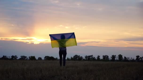 Ukrán Megy Emelt Zászló Ukrajna Feje Felett Búzamezőn Háttér Gyönyörű — Stock videók