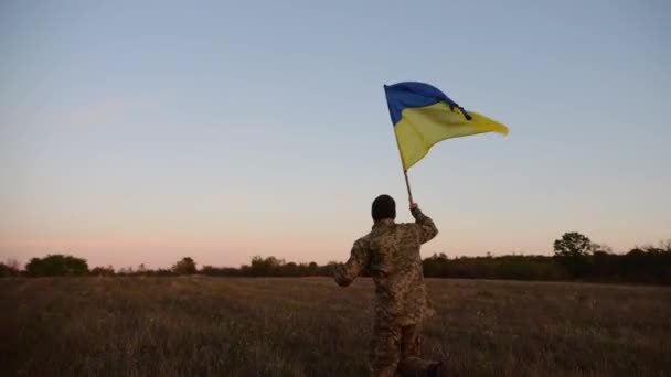 Νεαρός Στρατιωτικός Στολή Τζόκινγκ Σημαία Της Ουκρανίας Στο Λιβάδι Στρατιώτης — Αρχείο Βίντεο