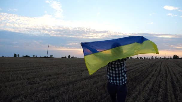Ukrainian Lady Walking National Blue Yellow Banner Barley Meadow Sunrise — Stock Video