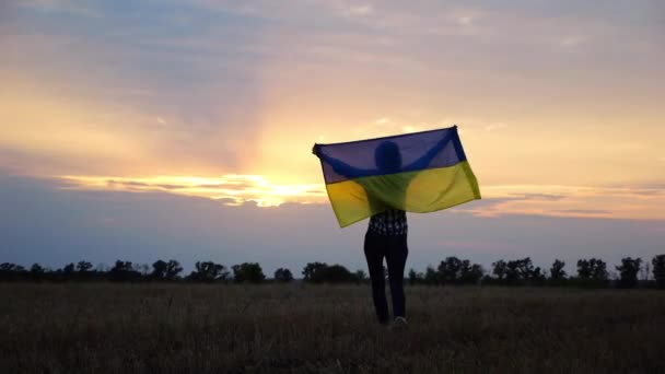 Ukraińska Kobieta Idzie Podniesioną Flagą Ukrainy Nad Głową Polu Pszenicy — Wideo stockowe