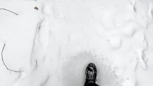 Erkek Ayağının Kış Parkında Karlı Yolda Yürümesine Bakış Açısı Spor — Stok video