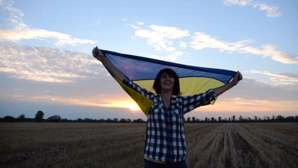 Щаслива Жінка Дивиться Камеру Стоїть Пшеничному Полі Піднятим Синьо Жовтим — стокове відео