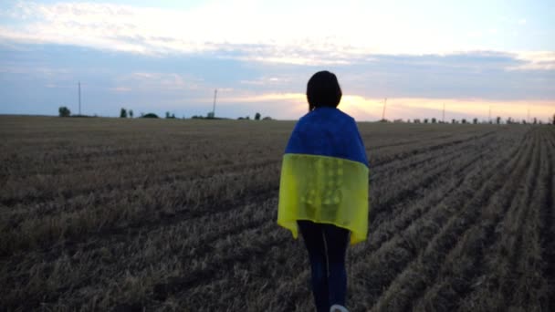 Ukrainian Woman Walking Barley Meadow Blue Yellow Banner Shoulders Sunset — Stock Video