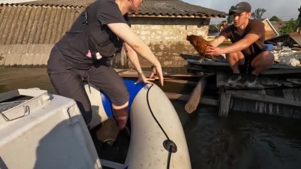 Les Volontaires Naviguent Sur Bateau Pour Évacuer Poulet Après Détonation — Video