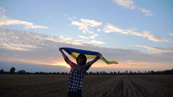 Boldog Néz Kamerába Áll Búzamezőn Egy Emelt Kék Sárga Zászlóval — Stock videók