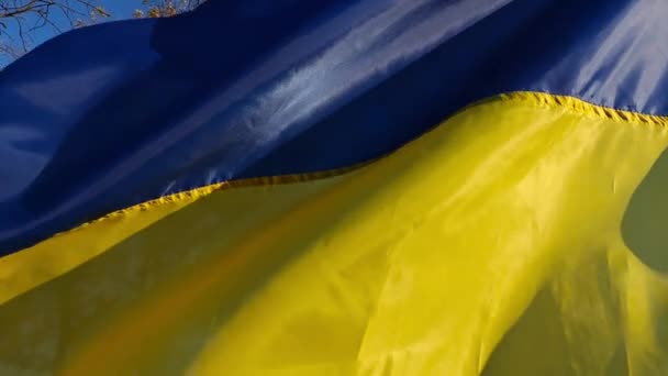 Símbolo Azul Amarillo Ucrania Iluminado Por Sol Revoloteando Campo Bandera — Vídeos de Stock