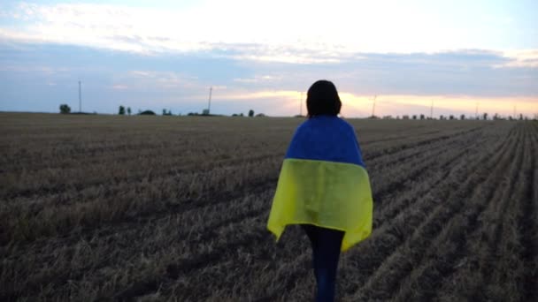 Ukraynalı Kadın Gün Batımında Omuzlarında Mavi Sarı Bir Pankartıyla Arpa — Stok video