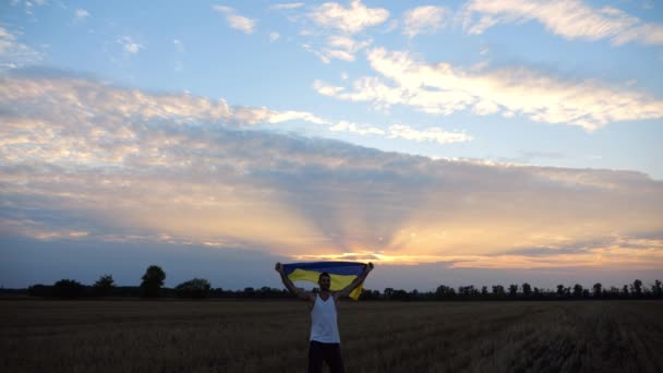 Junger Mann Steht Auf Der Gerstenwiese Und Hisst Bei Sonnenuntergang — Stockvideo