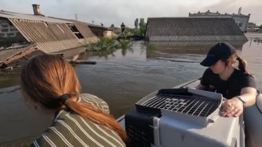Hidroelektrik santrali patladıktan sonra tavuğu tahliye etmek için gönüllüler tekneye biniyor. Novaya Kakhovka 'daki Dnipro nehrindeki baraj patlaması sonucu Kherson' daki evleri su bastı. Yavaş mot
