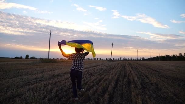 Ukraińska Kobieta Biegnie Podniesioną Flagą Ukraina Nad Głową Polu Pszenicy — Wideo stockowe