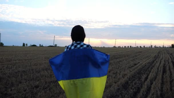 Украинка Идет Национальным Сине Желтым Знаменем Ячменном Лугу Рассвете Женщина — стоковое видео