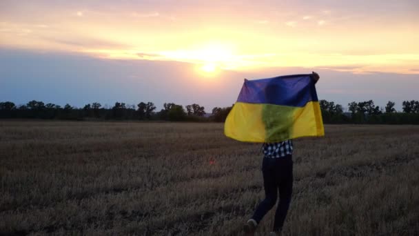 Senhora Feliz Andando Prado Cevada Dando Volta Com Uma Bandeira — Vídeo de Stock