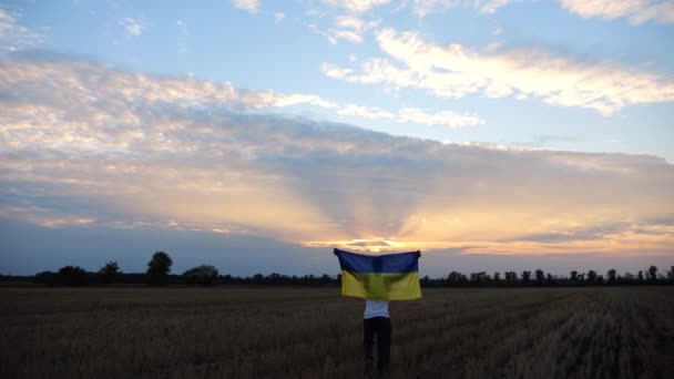 Ukrainischer Mann Der Bei Sonnenuntergang Mit Erhobener Nationalfahne Auf Der — Stockvideo