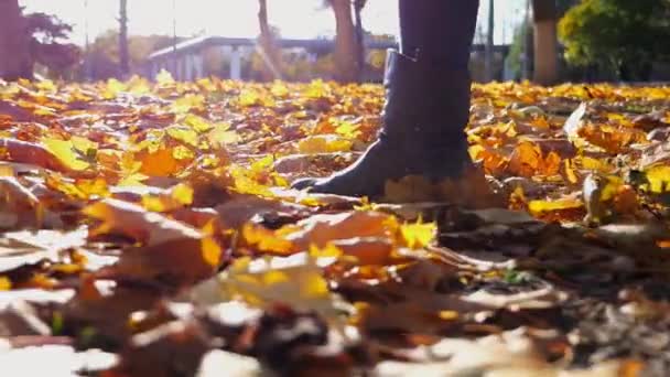 Ноги Молодої Жінки Наступають Жовте Листя Парку Жіночі Ноги Чоботях — стокове відео