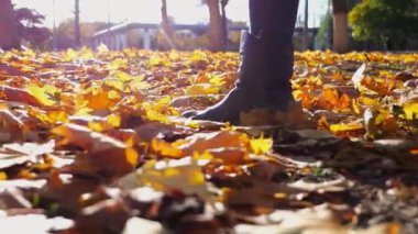 Parkta sarı yapraklara basan genç kadın bacakları. Sonbaharda düşen akçaağaç yapraklarına basan çizmeli kadın ayakları. Park 'ta arka planda güneş ışığına karşı yürüyen bir kız. Yavaşla.