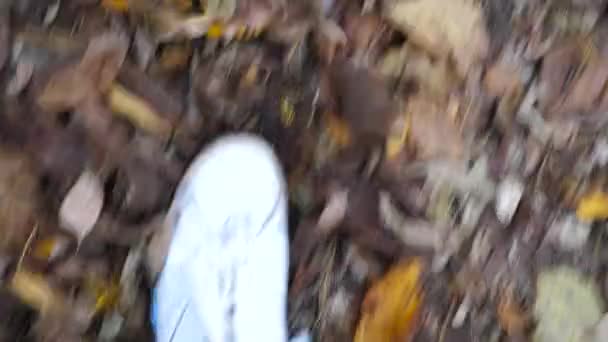 Ponto Vista Para Masculino Pisando Folhas Caídas Parque Pernas Homem — Vídeo de Stock