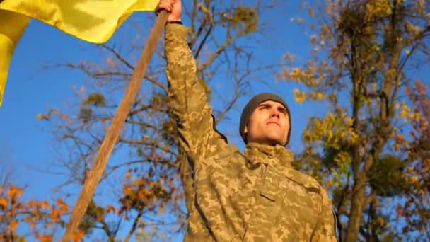 Male Ukrainian Army Soldier Lifting Blue Yellow Banner Honor Victory Stock Video