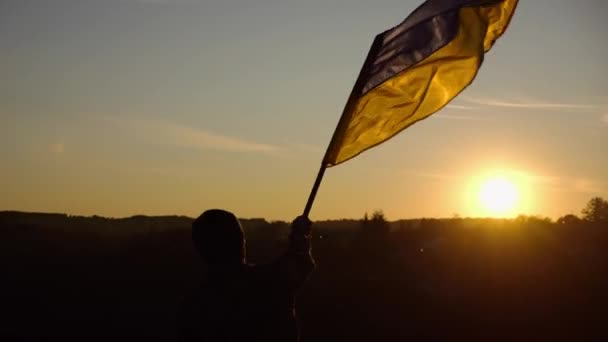 Hombre Joven Uniforme Militar Ondeando Bandera Ucrania Contra Hermosa Puesta Video de stock libre de derechos
