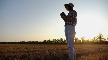 Günbatımında buğday çayırında dijital tablet kullanan dişi tarım uzmanı. Çiftçi gün batımında arpa tarlasında hasat izliyor. Güzel manzara manzarası. Tarım sektörü kavramı. Yavaş çekim