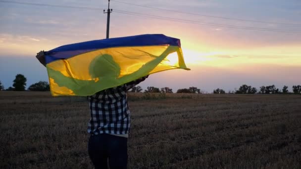 Ukrán Hölgy Kocog Nemzeti Kék Sárga Banner Árpa Rét Gyönyörű — Stock videók