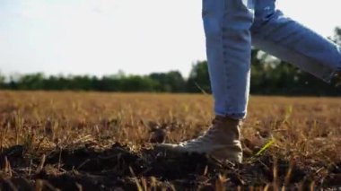 Çiftçinin dişi ayakları gün batımında buğday çayırlarında geziniyor. Alacakaranlıkta arpa tarlasında yürüyen çizmeli ziraat yanlısı bacaklar. Tarım sektörü kavramı. Yavaş çekim