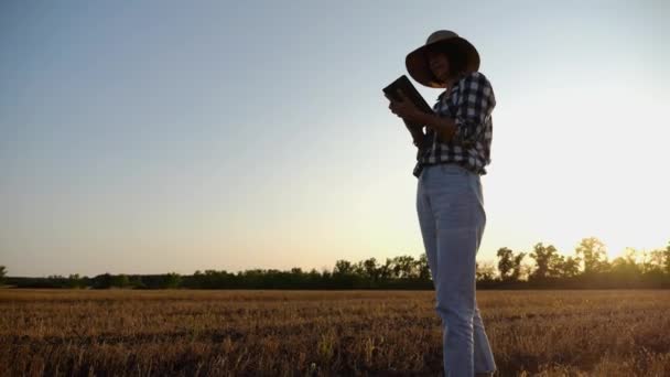 Agronomis Perempuan Menggunakan Tablet Digital Padang Rumput Gandum Saat Senja — Stok Video
