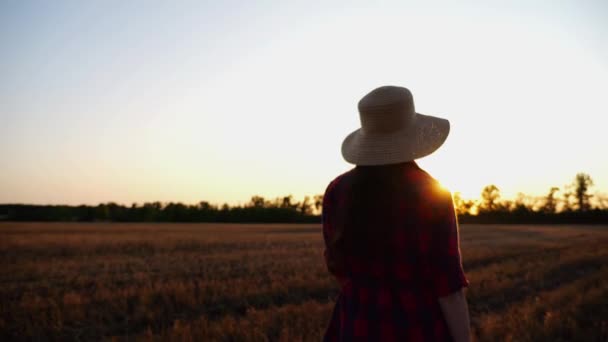 日落时 女农民穿过大麦种植园 黄昏时分 年轻的农学家漫步在麦田里 美丽的风景 农业企业的概念 特写慢动作 — 图库视频影像