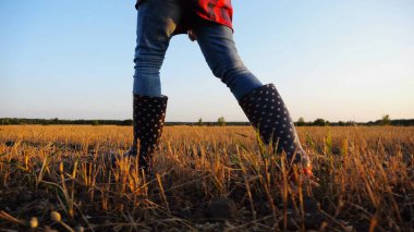 Gün batımında arpa tarlasından geçen genç çiftçinin dişi ayakları. Tarım yanlısı çizmeli bacaklar alacakaranlıkta buğday çayırlarında yürüyor. Tarım sektörü kavramı. Yavaş çekim