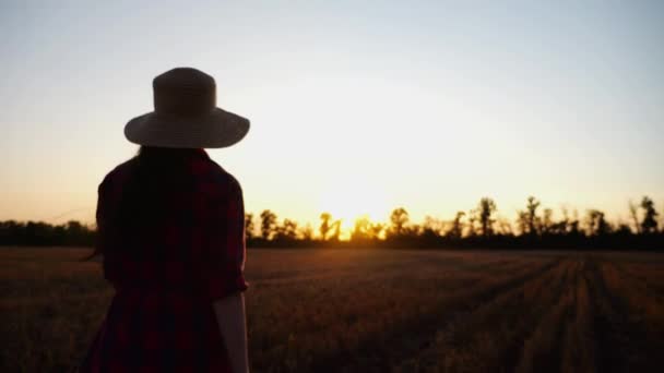 Bäuerin Beim Gang Durch Die Gerstenplantage Bei Sonnenuntergang Junger Agronom — Stockvideo