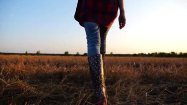 Gün batımında arpa tarlasından geçen genç çiftçinin dişi ayakları. Tarım yanlısı çizmeli bacaklar alacakaranlıkta buğday çayırlarında yürüyor. Tarım sektörü kavramı. Yavaş çekim