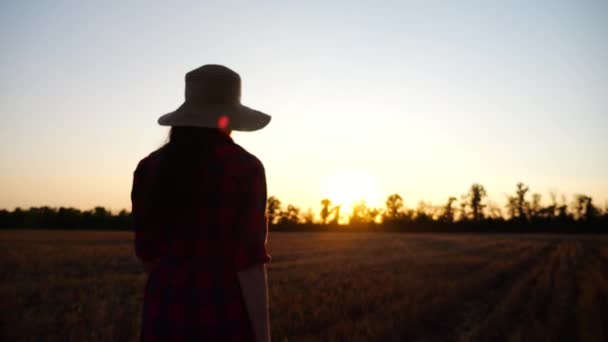 Una Agricultora Atravesando Plantación Cebada Atardecer Joven Agrónomo Caminando Entre — Vídeos de Stock