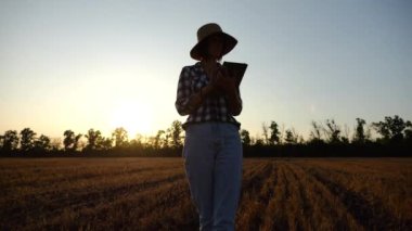 Günbatımında buğday çayırında dijital tablet kullanan dişi tarım uzmanı. Çiftçi gün batımında arpa tarlasında hasat izliyor. Güzel manzara manzarası. Tarım sektörü kavramı. Yavaş çekim